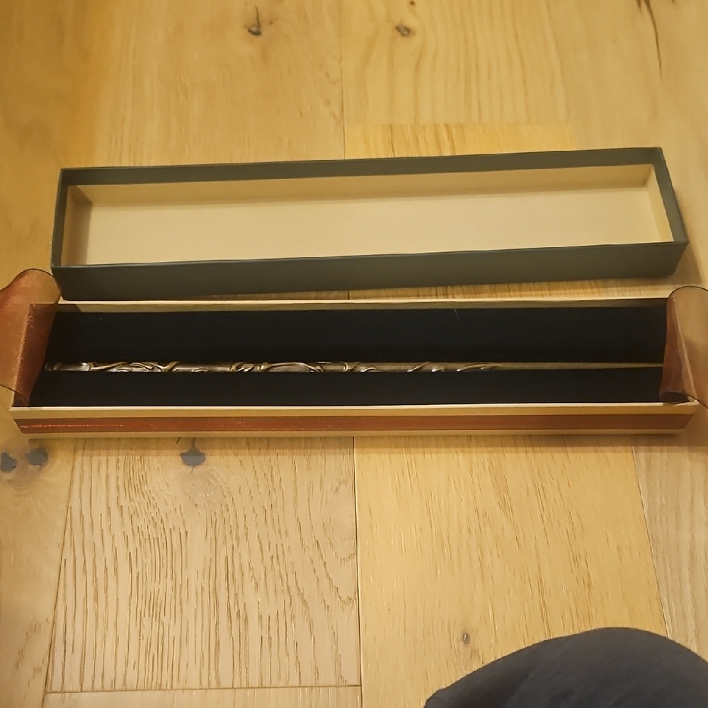 Hermione's Wand with box